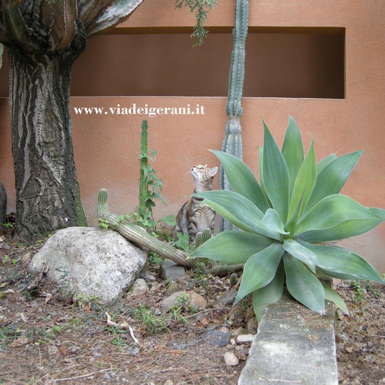 Via Dei Gerani B&B Sìnnai Εξωτερικό φωτογραφία